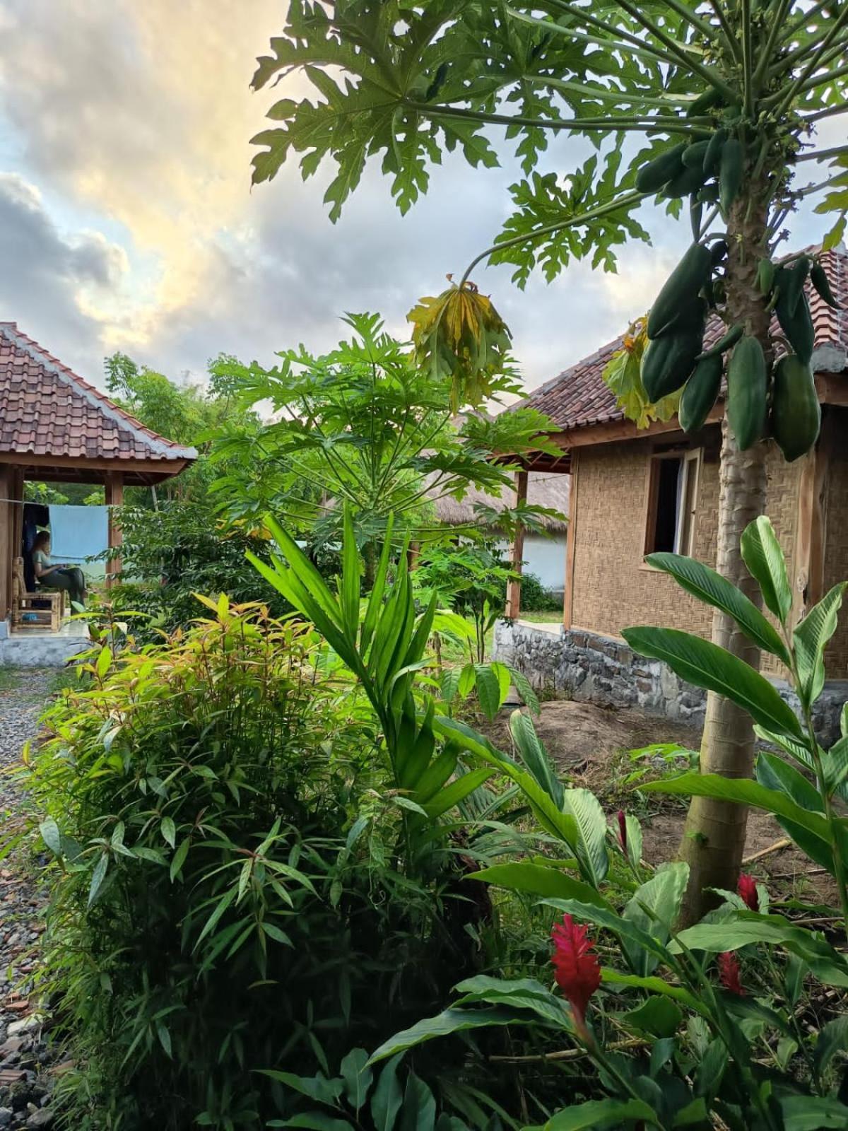 Готель Melody Surf - Ekas Lombok Екстер'єр фото